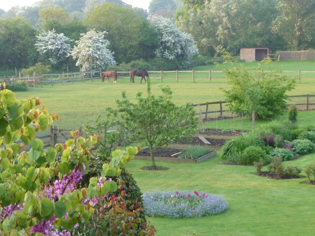 The Corner House Bed & Breakfast Rye Luaran gambar