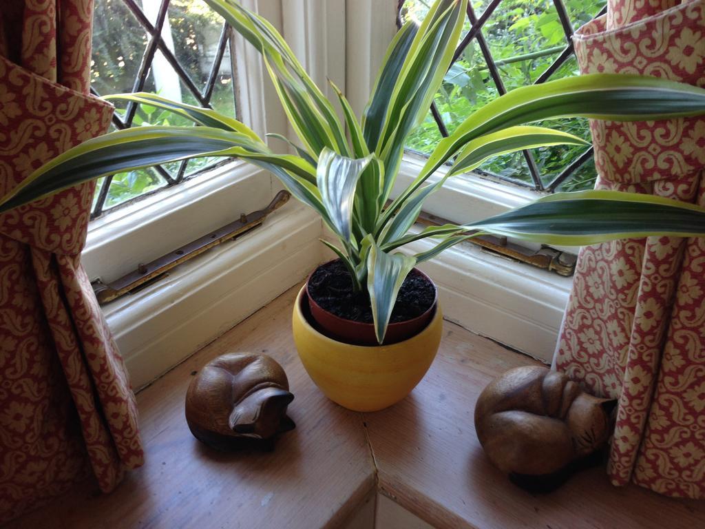 The Corner House Bed & Breakfast Rye Luaran gambar